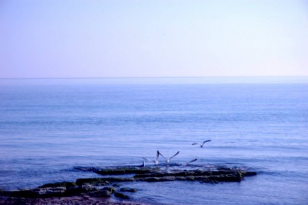 PICCOLI ISOLOTTI SCOGLIOSI IN MARE S.PIETRO IN BEVAGNA