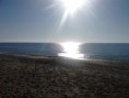 /album/vacanze-in-salento/a389856-263726730360151-298147758-n-jpg2/