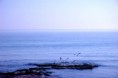/album/vacanze-in-salento/a1620509-669787489754071-1993545215-n-jpg2/