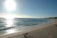 /album/vacanze-in-salento/a1798171-645348808864606-1668175874-n-jpg2/