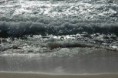 /album/vacanze-in-salento/a10394509-833541136712038-1412616916411706570-n-jpg2/